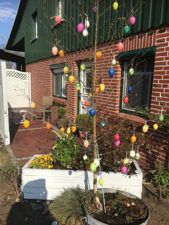 Ferienhaus Staben Eggstedt Exterior foto